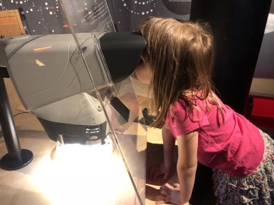 IMG_0766.jpg IMG 0766