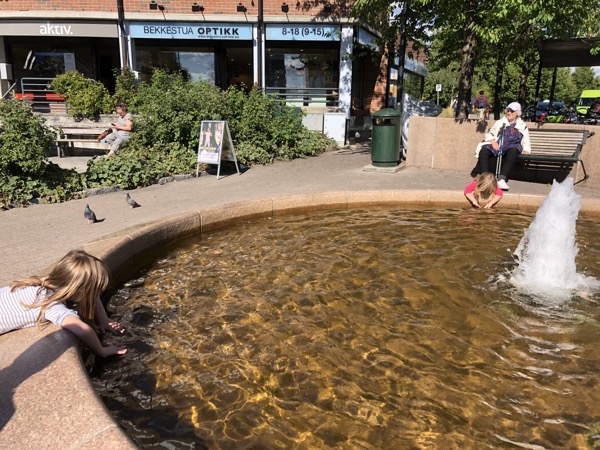 IMG_1332.jpg IMG 1332