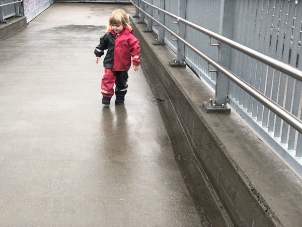 IMG_1356.jpg IMG 1356