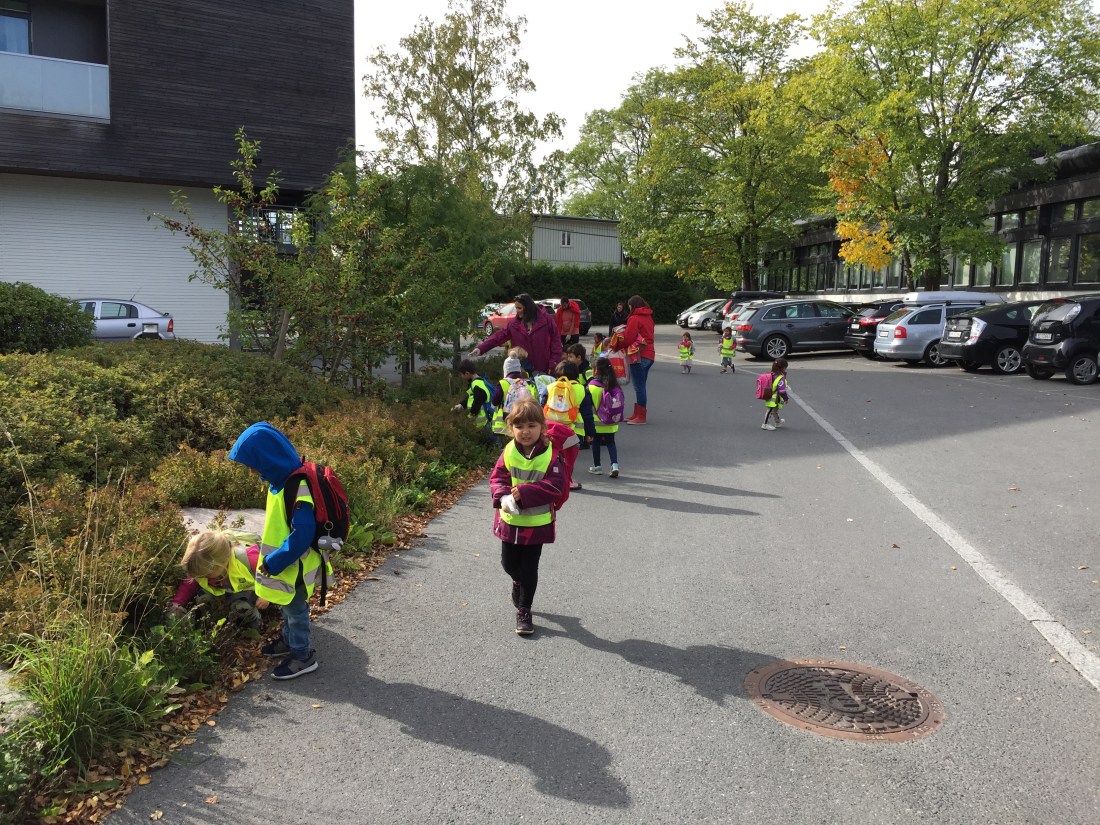 Photo 14-09-2018, 12 37 25