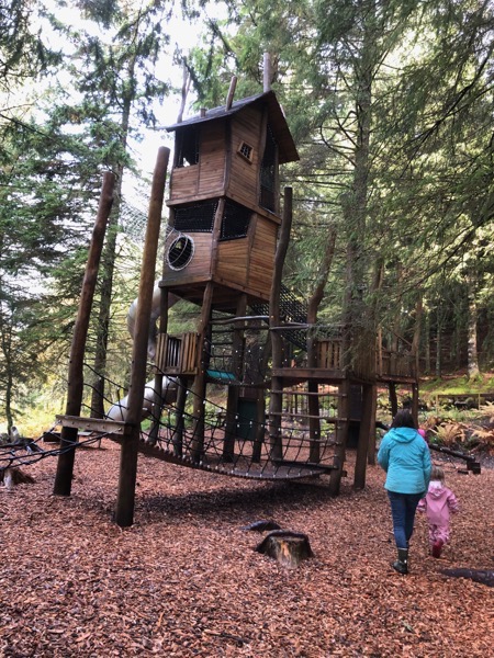 IMG_2281.jpeg IMG 2281