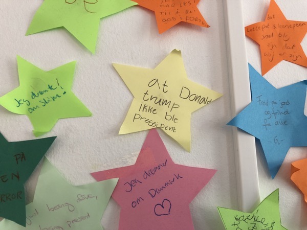 IMG_2311.jpeg IMG 2311