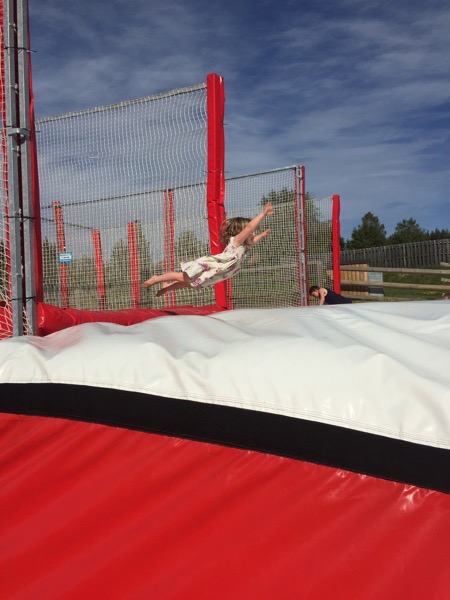 IMG_6237.jpg IMG 6237