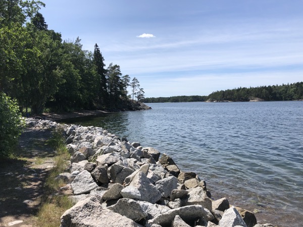 IMG_7069.jpeg IMG 7069